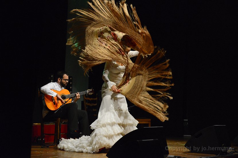 Flamenco-024