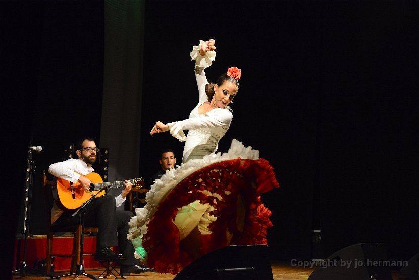 Flamenco-025
