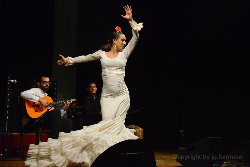 Flamenco-026