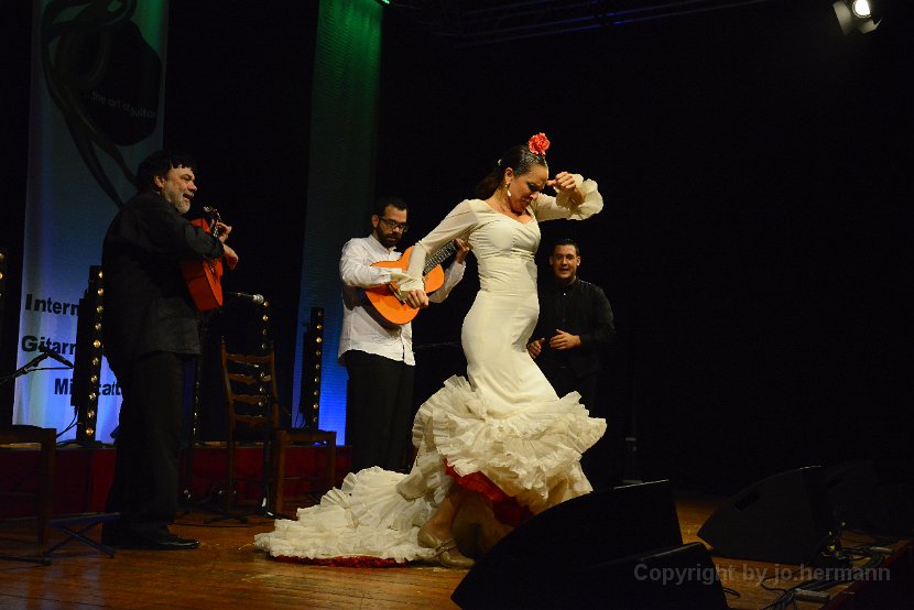 Flamenco-033