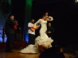 Flamenco-033.jpg