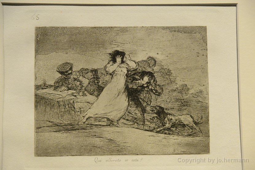 Goya-016