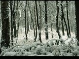 Winterlandschaften-015.jpg
