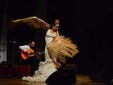 Flamenco-023.jpg