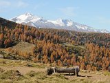 Herbst_211012-019.jpg