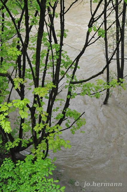 Lieserschlucht-029.jpg