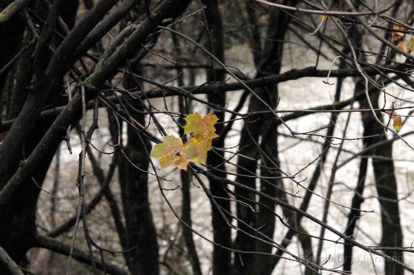 Lieserwasser_061112-027