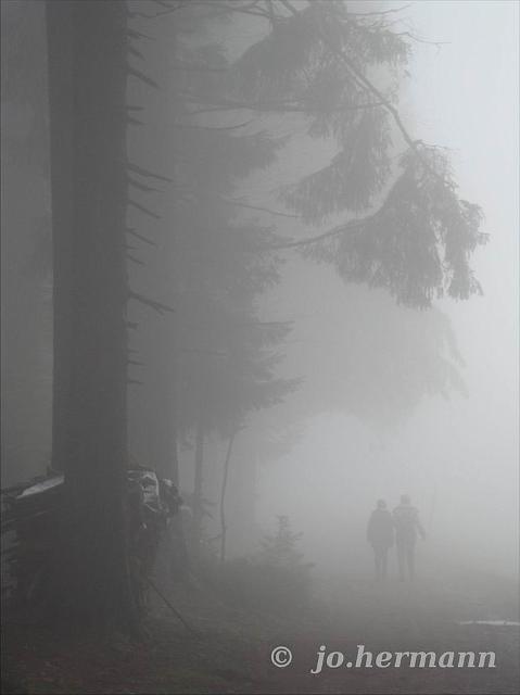 Nebelwanderung-011.jpg